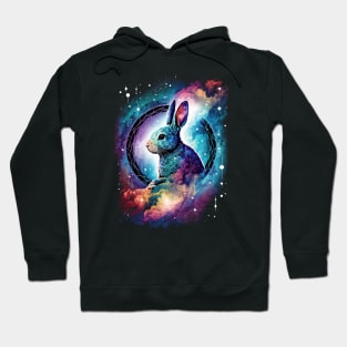 Year of the rabbit chinese zodiac sign colorful glaxy background Hoodie